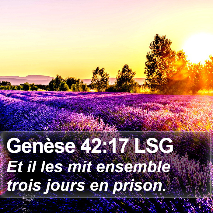 Genèse 42:17 LSG Bible Study