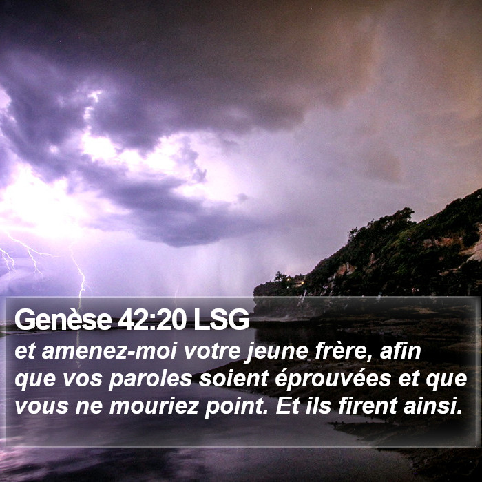 Genèse 42:20 LSG Bible Study