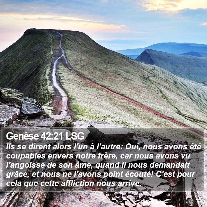 Genèse 42:21 LSG Bible Study