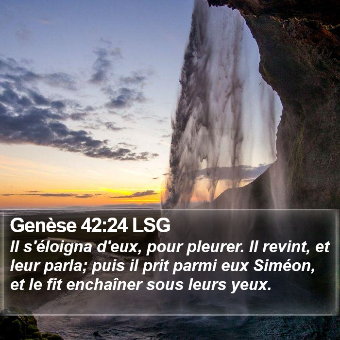 Genèse 42:24 LSG Bible Study