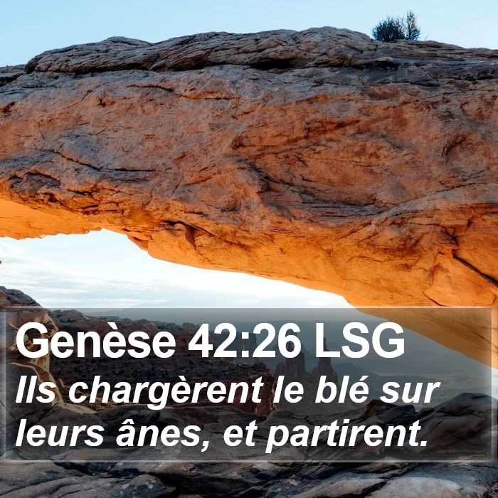 Genèse 42:26 LSG Bible Study