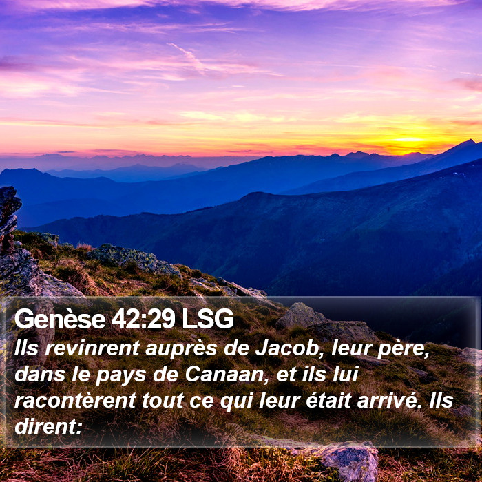 Genèse 42:29 LSG Bible Study