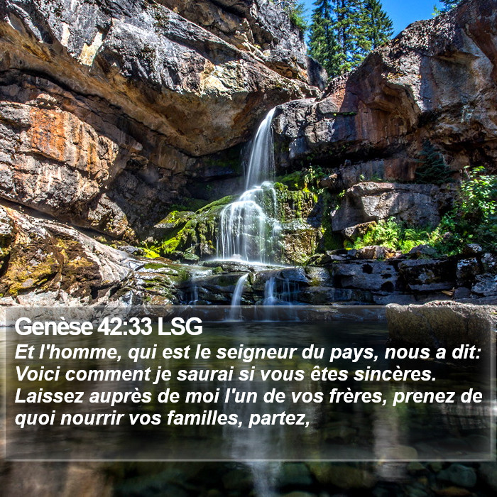 Genèse 42:33 LSG Bible Study