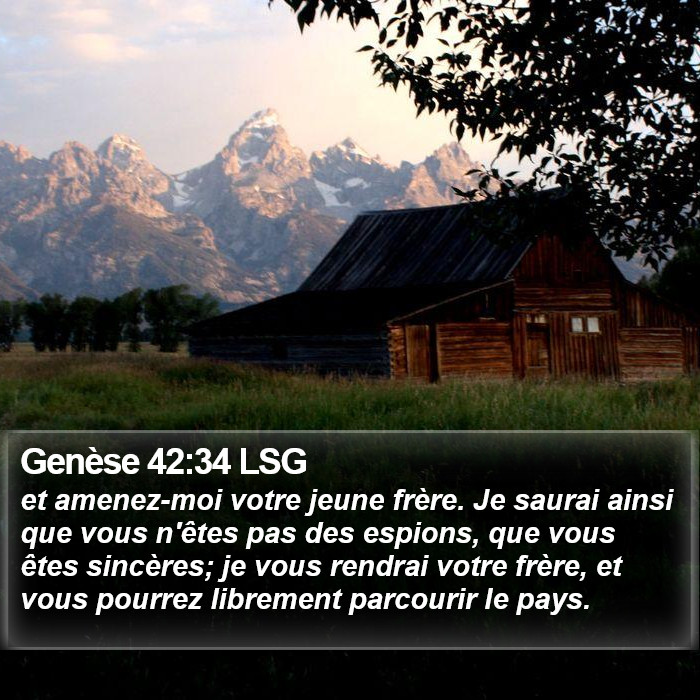 Genèse 42:34 LSG Bible Study