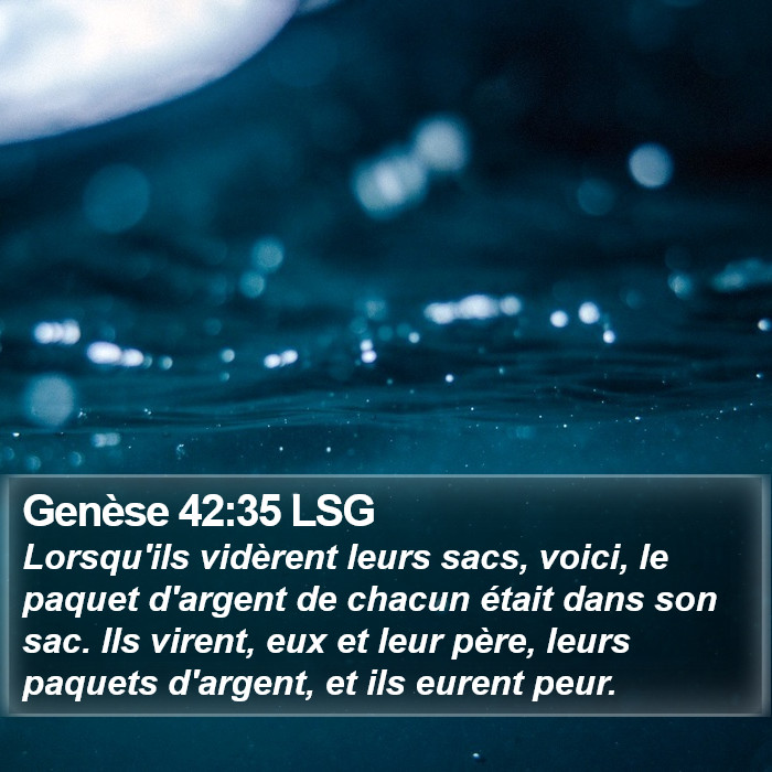 Genèse 42:35 LSG Bible Study