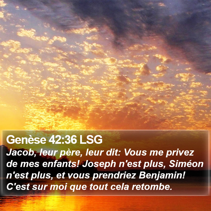 Genèse 42:36 LSG Bible Study