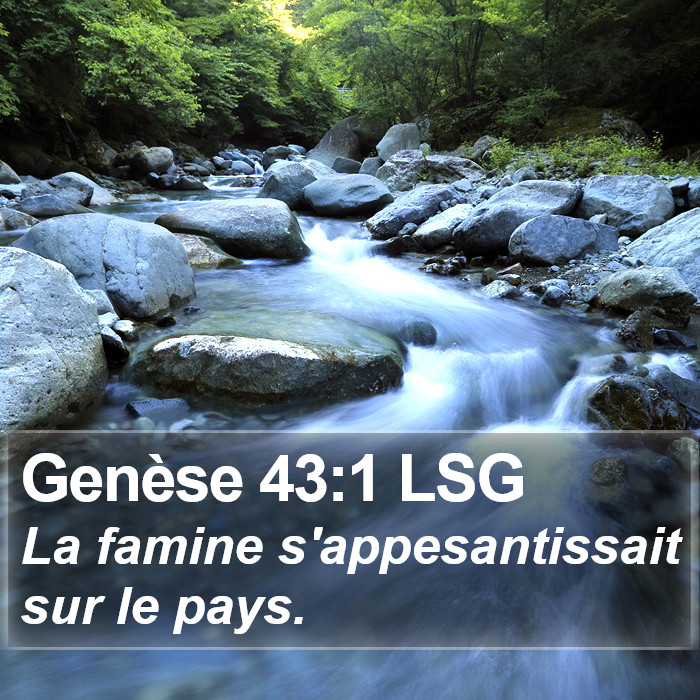 Genèse 43:1 LSG Bible Study