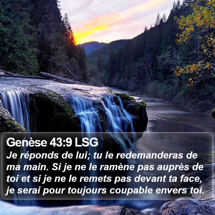 Genèse 43:9 LSG Bible Study