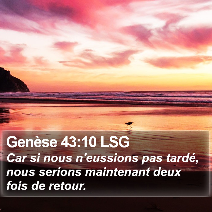 Genèse 43:10 LSG Bible Study