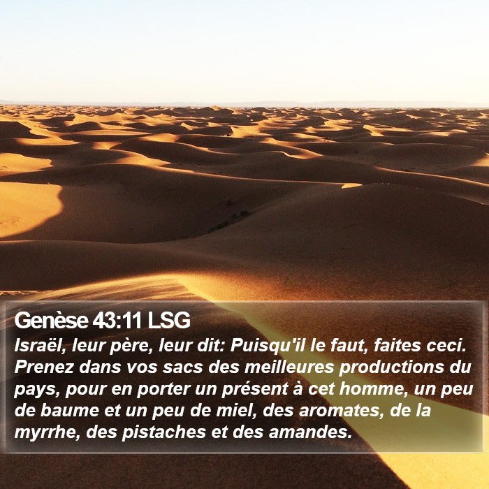 Genèse 43:11 LSG Bible Study