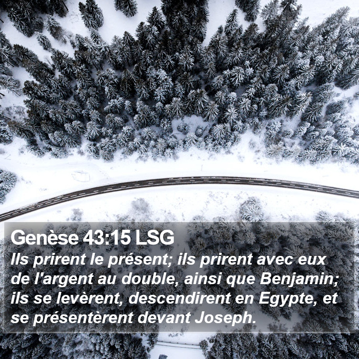 Genèse 43:15 LSG Bible Study