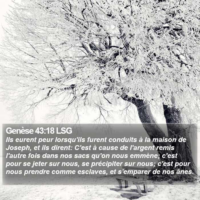 Genèse 43:18 LSG Bible Study