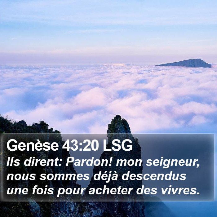 Genèse 43:20 LSG Bible Study