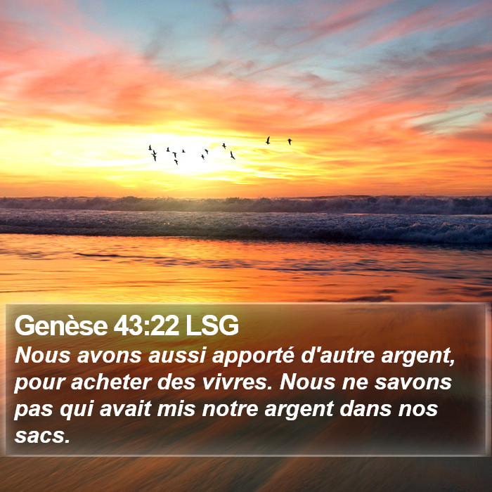 Genèse 43:22 LSG Bible Study