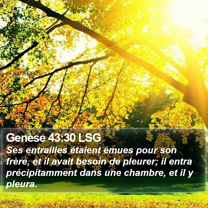 Genèse 43:30 LSG Bible Study
