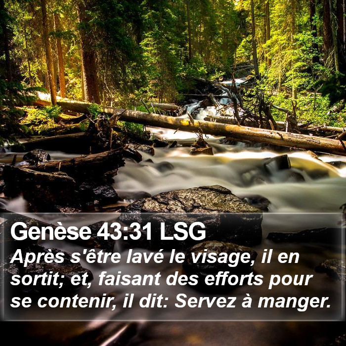 Genèse 43:31 LSG Bible Study