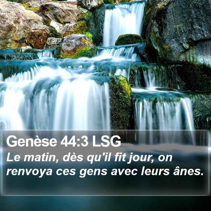 Genèse 44:3 LSG Bible Study