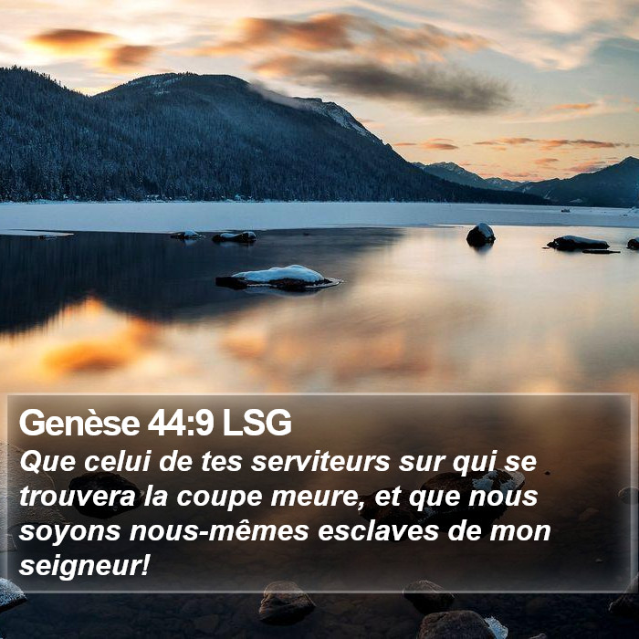 Genèse 44:9 LSG Bible Study