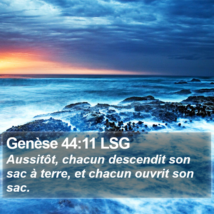 Genèse 44:11 LSG Bible Study