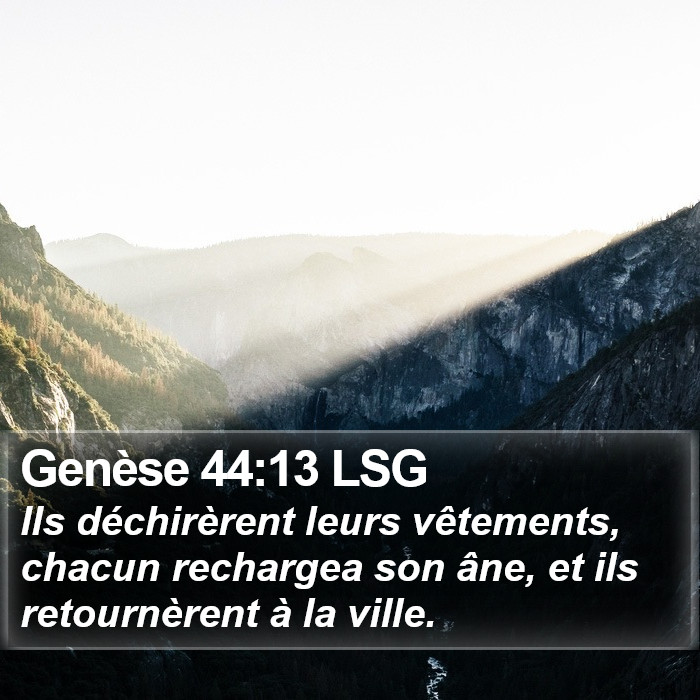 Genèse 44:13 LSG Bible Study