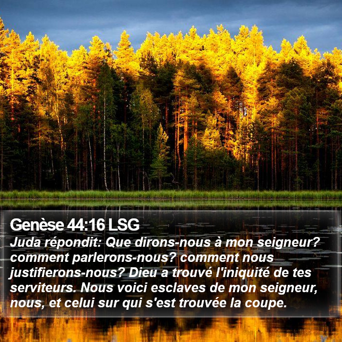 Genèse 44:16 LSG Bible Study