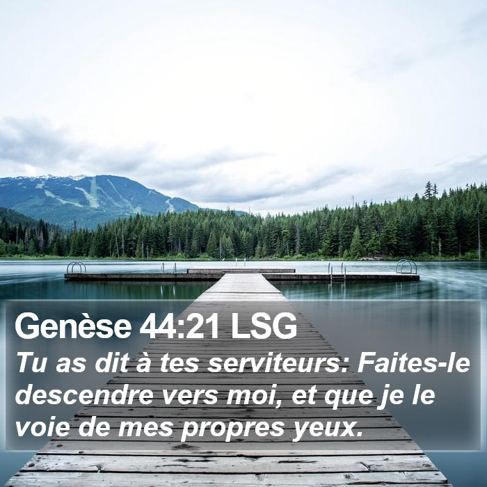 Genèse 44:21 LSG Bible Study