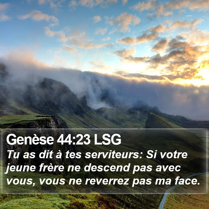 Genèse 44:23 LSG Bible Study