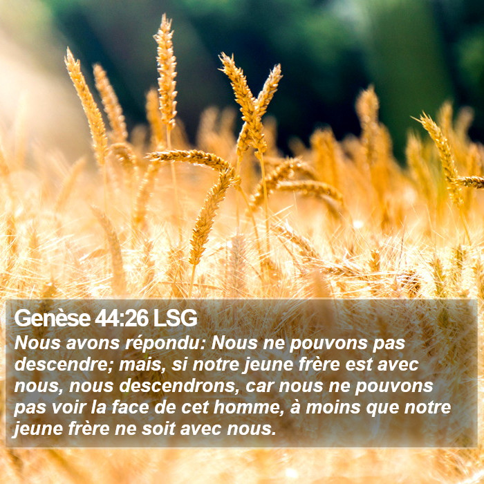 Genèse 44:26 LSG Bible Study