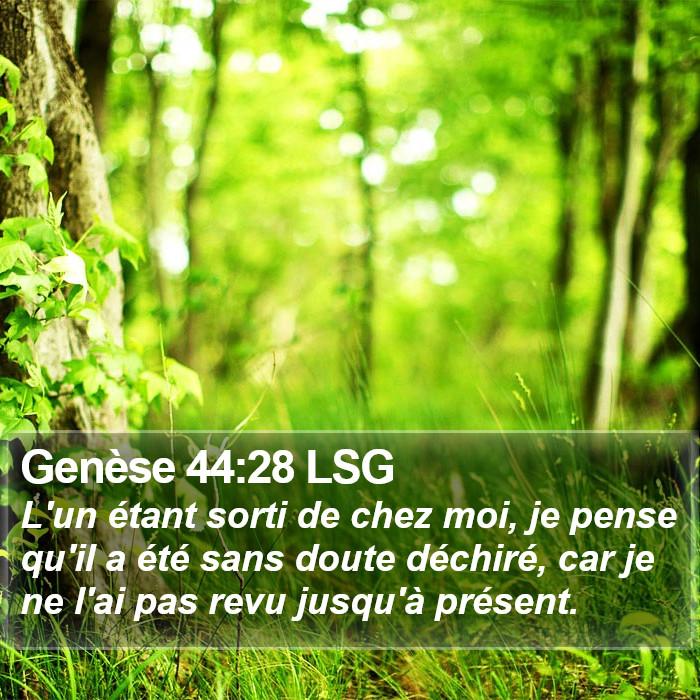 Genèse 44:28 LSG Bible Study