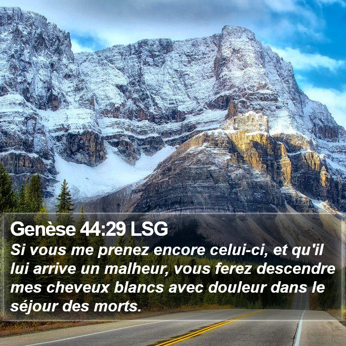 Genèse 44:29 LSG Bible Study