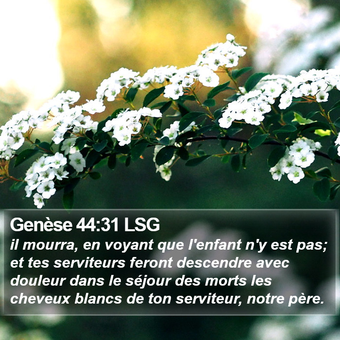 Genèse 44:31 LSG Bible Study