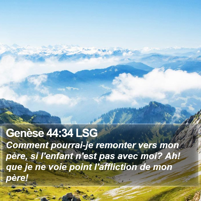 Genèse 44:34 LSG Bible Study