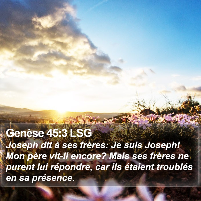 Genèse 45:3 LSG Bible Study