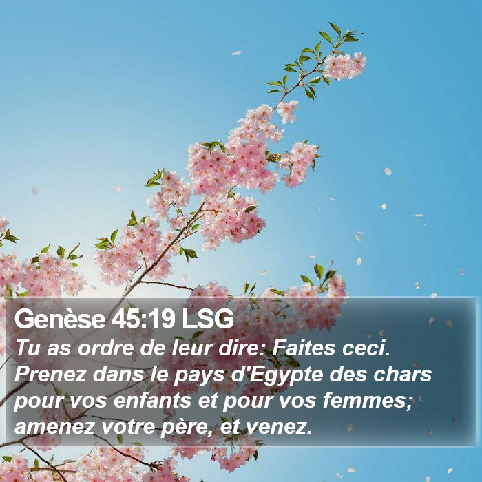 Genèse 45:19 LSG Bible Study