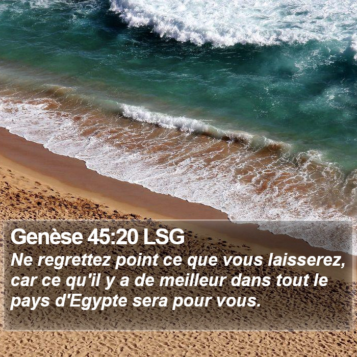 Genèse 45:20 LSG Bible Study