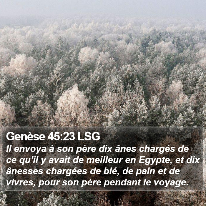 Genèse 45:23 LSG Bible Study