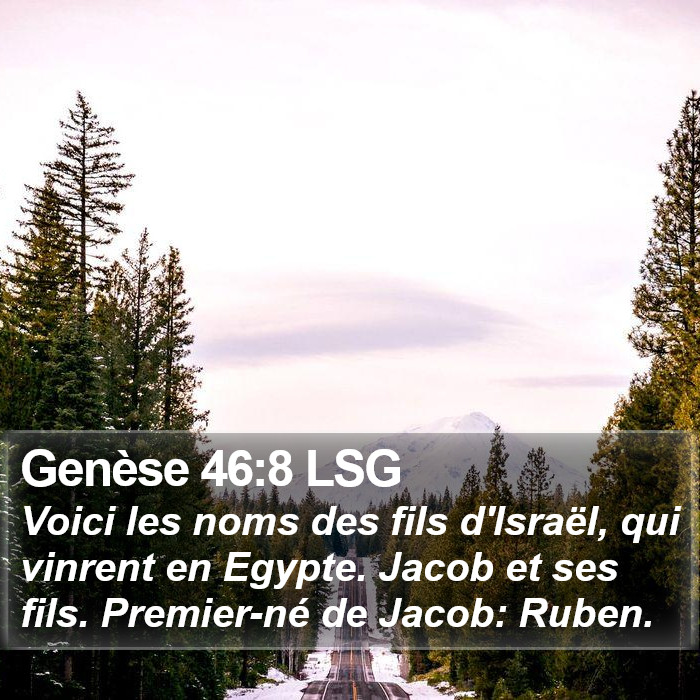 Genèse 46:8 LSG Bible Study