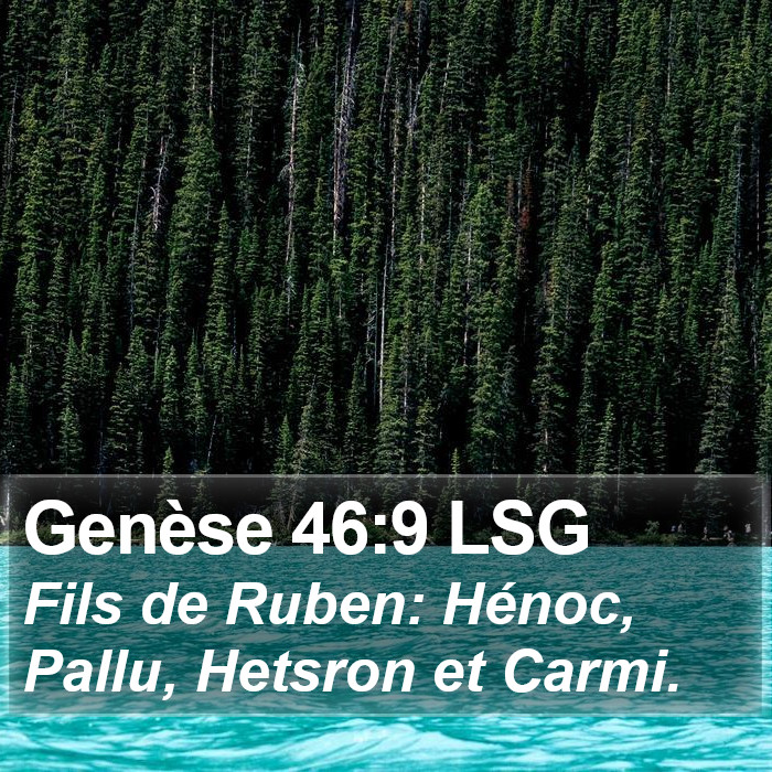 Genèse 46:9 LSG Bible Study