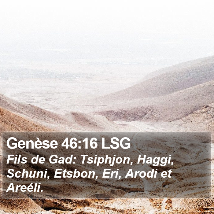 Genèse 46:16 LSG Bible Study