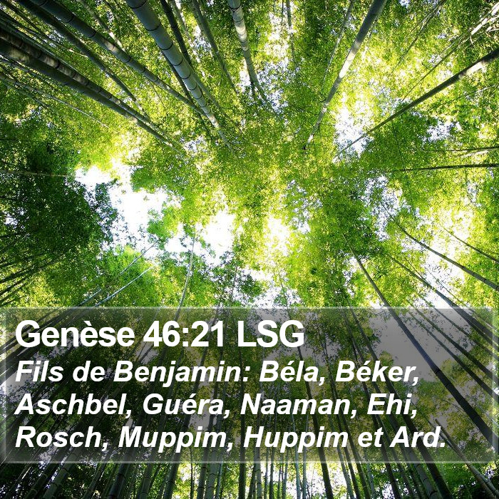 Genèse 46:21 LSG Bible Study