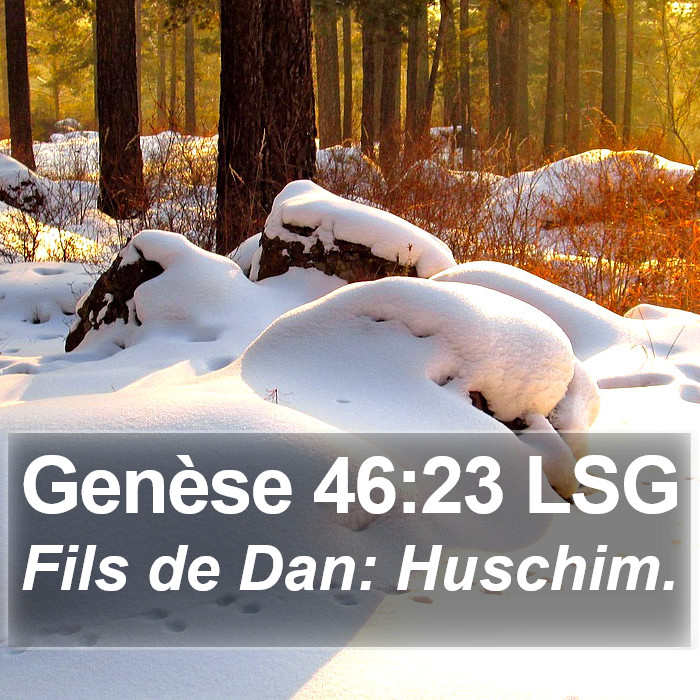 Genèse 46:23 LSG Bible Study