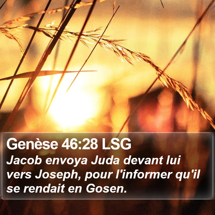 Genèse 46:28 LSG Bible Study