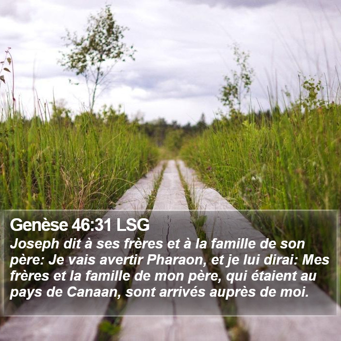 Genèse 46:31 LSG Bible Study