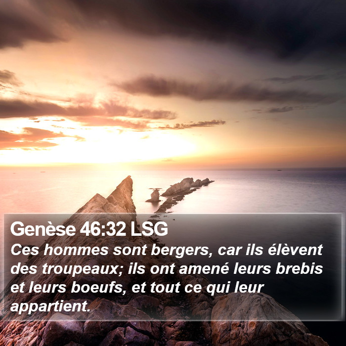 Genèse 46:32 LSG Bible Study