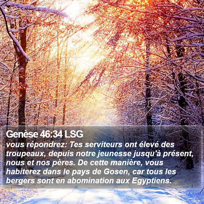 Genèse 46:34 LSG Bible Study