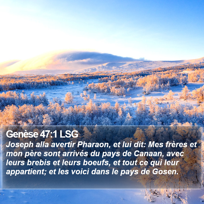 Genèse 47:1 LSG Bible Study