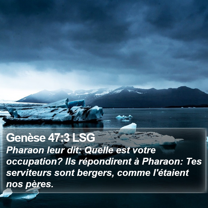 Genèse 47:3 LSG Bible Study