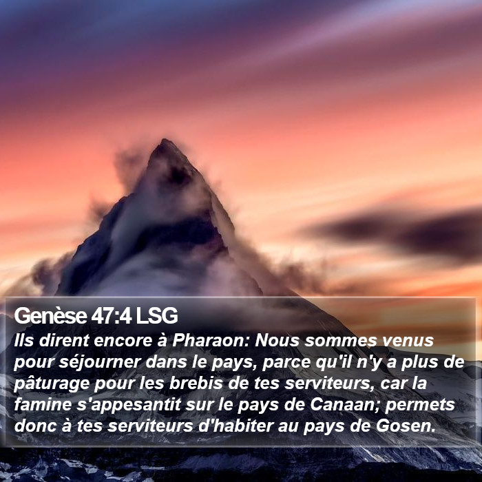 Genèse 47:4 LSG Bible Study