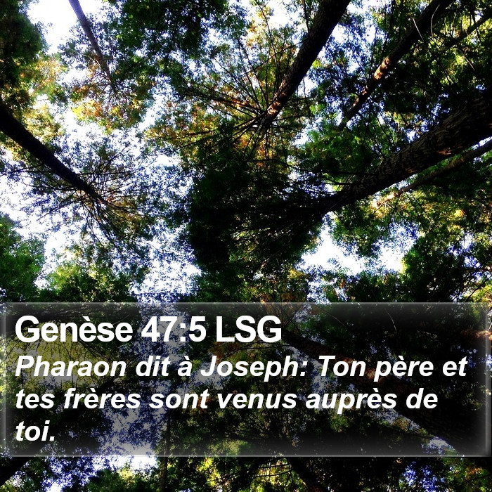 Genèse 47:5 LSG Bible Study