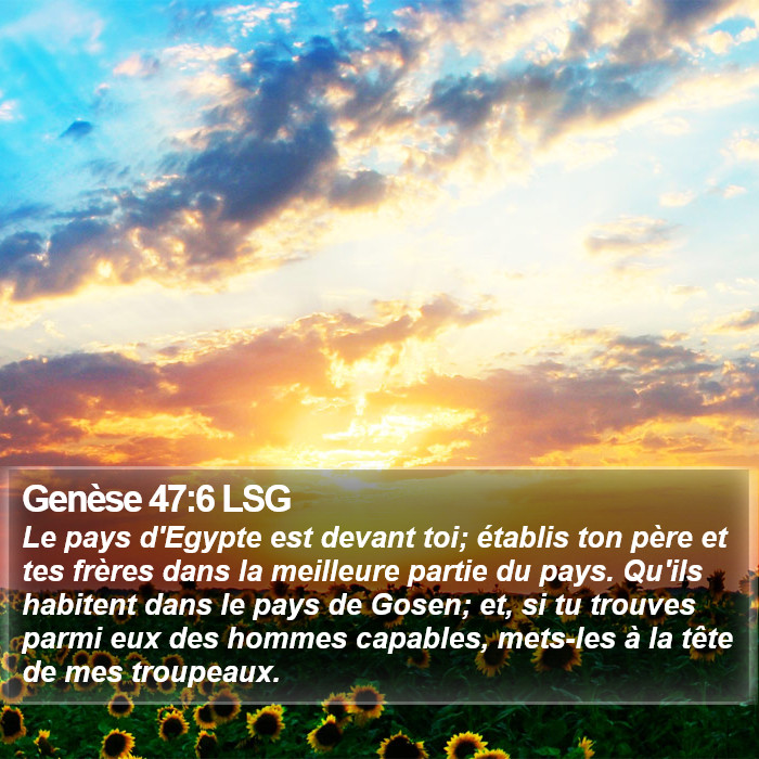 Genèse 47:6 LSG Bible Study